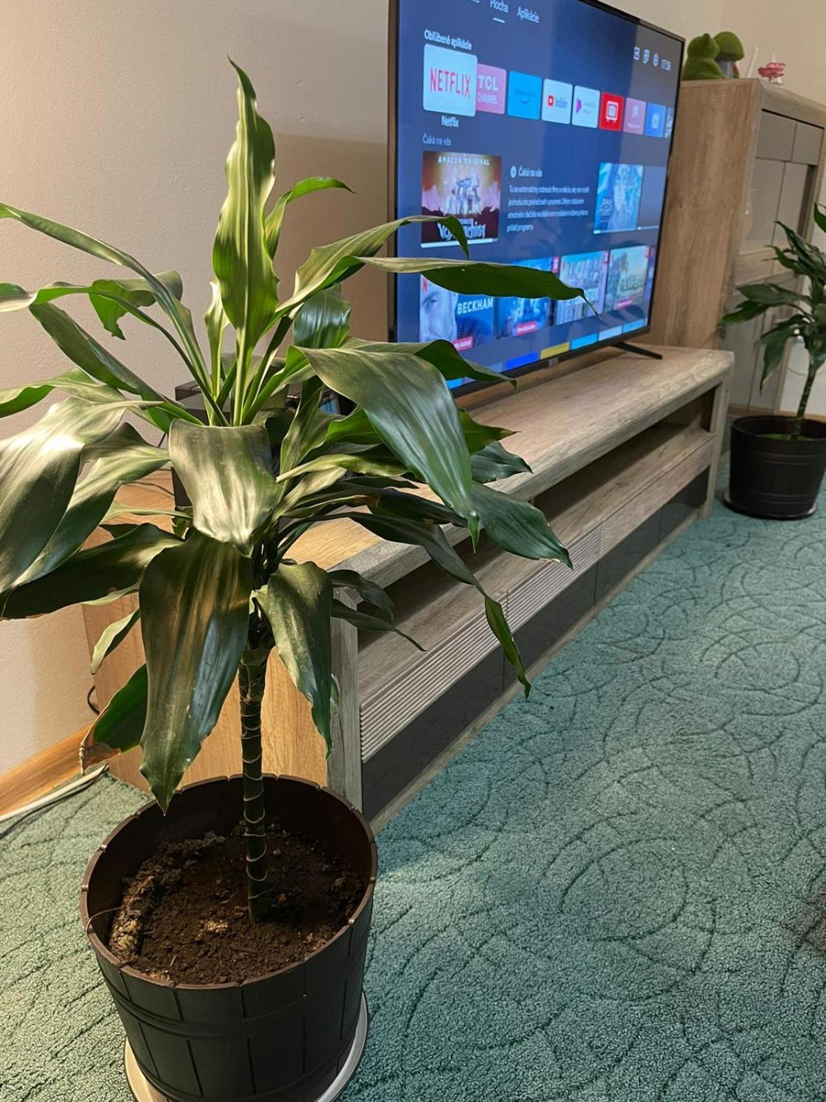 Velky Apartman Bratislava Esterno foto